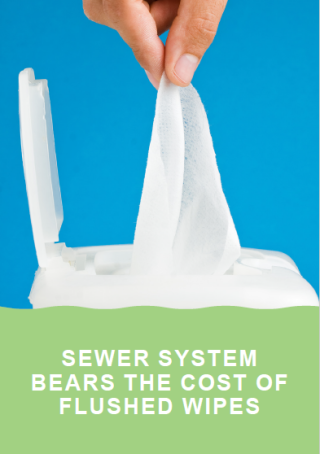 flushed wipes cost sewer system
